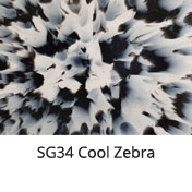 SG34 Cool Zebra